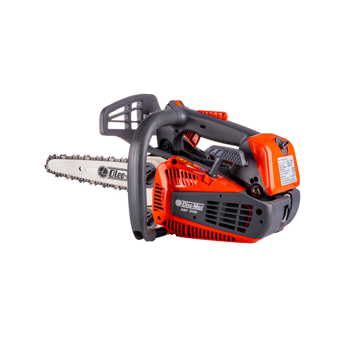 111752 GST 250 EUR5 MOTORLU TESTERE (İNCE PALA)